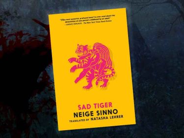 Sad Tiger by Neige Sinno