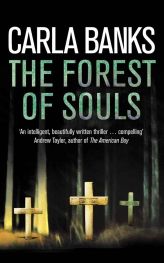 Cover of The Forest of Souls by Danuta Reah (originally written under the name Carla Banks)