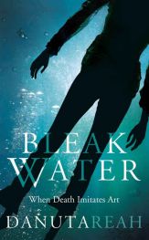 Cover of Bleak Water by Danuta Reah